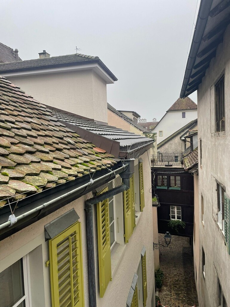 Toute la ruelle a été sécurisée contre les pigeons