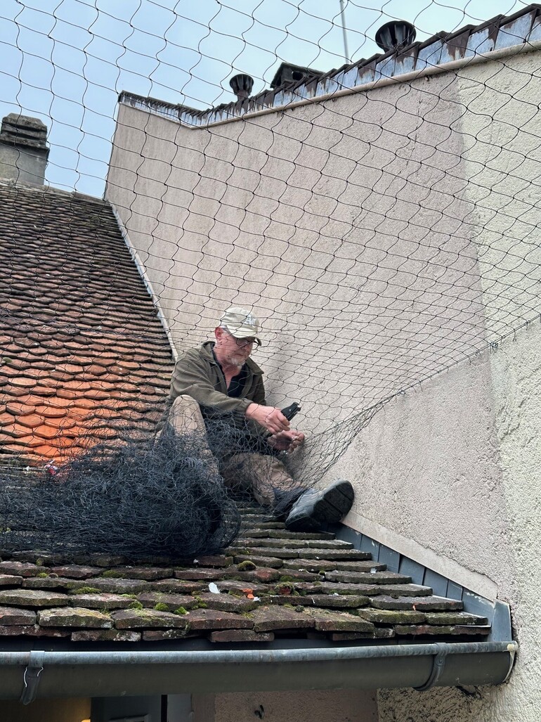 Pose du filet en une seule pièce par nos techniciens
