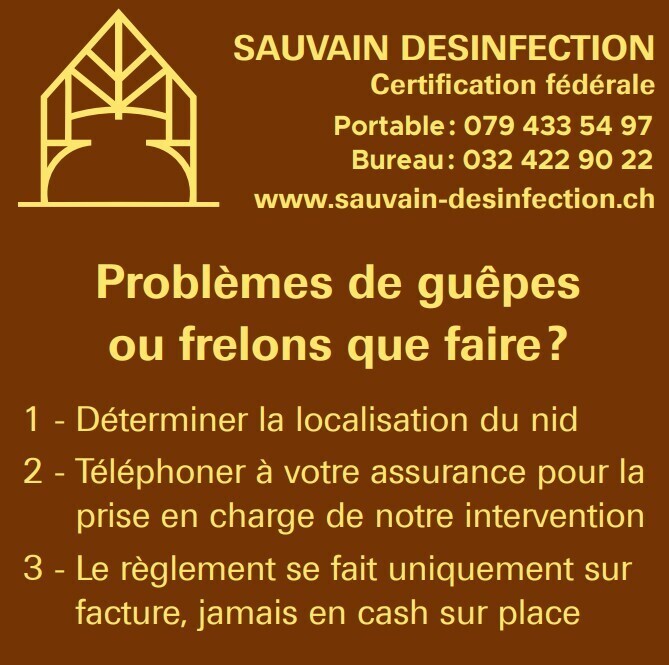 Problèmes de guêpes ou frelons ?
