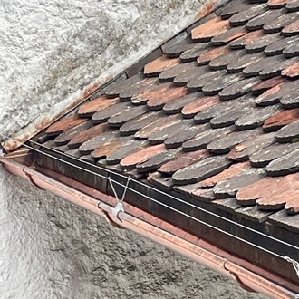 Nous procédons à la protection contre les pigeons